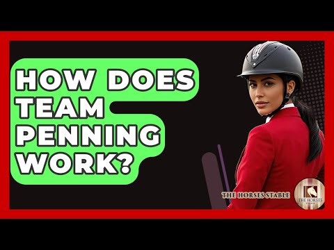 How Does Team Penning Work? - The Horses Stable