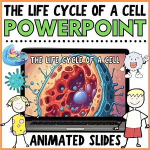 The Life Cycle of a Cell PowerPoint Presentation | Science Lesson for K 1st 2nd