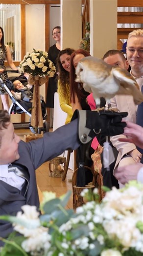 Owl Delivers the Wedding Rings – Magical Ring Delivery!