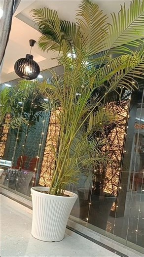 mini vlog #shortvideo # braidal makeup