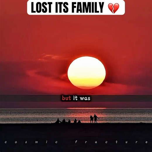 The Sun Lost Its Family... ☀️💔