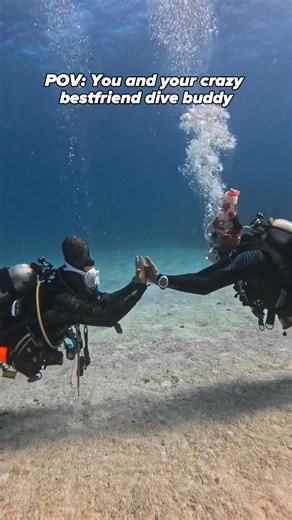 🤪👯‍♂️ POV: You’ve just reunited with your crazy dive buddy, and the adventure is about to get wild! The water's calling, and who better to answers it with than your partner-in-submerged-antics? From the moment you lock eyes, you know this dive is going to be one for the books. Whether it's underwater charades, conquering currents, or exploring mysterious dive sites, the energy between you two is contagious, turning even a simple dive trip into an unforgettable escapade. 🌊😆 Sharing bubbles an