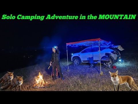 Solo Camping Adventure in the MOUNTAIN Woods with Bonfire Cooking!