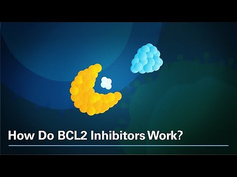 How Do BCL2 Inhibitors Work?