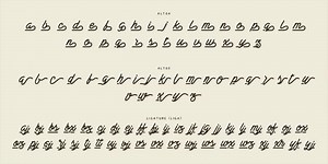 This week’s new hotness: http://www.myfonts.com/fonts/burntilldead/bestters-supply/ | MyFonts