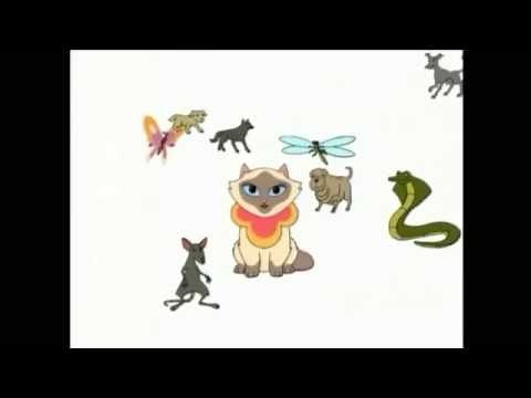 The New Noggin 4Kids TV Vid - Sagwa The Chinese Siamese Cat: What About You - Animals