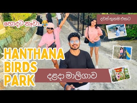 KANDY TOUR 🇱🇰| Hanthana Birds Park 🦆🐤| Dalada maligawa 🙏| Travel Vlog 2025