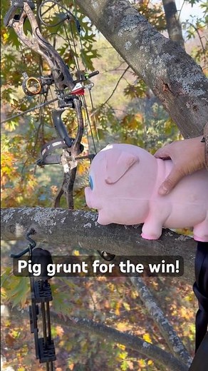 This pig grunt tube sounds better than my actual buck grunt #hunting
