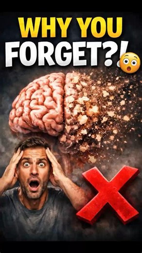 👉 Why You Forget What You Study 😳 (Fix This!)#shorts #viralshorts