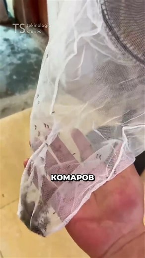 Идеальная ловушка для комаров 😱