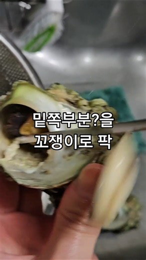 뿔소라, 맵고둥 손질법