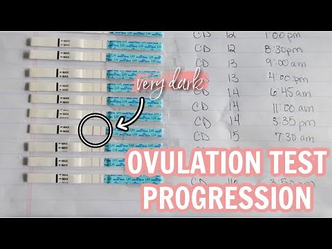 OVULATION TEST LINE PROGRESSION | how to read ovulation tests & know peak ovulation!