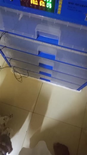 #le travail#tiktokburkinafaso #tiktokbeninois #tiktoktogo #tiktokivoire225