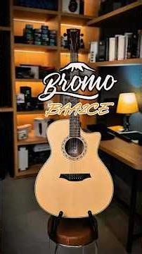 Under 2 million guitar, but the specs are no joke! 😱🎸 Meet the Bromo BAA2CE.