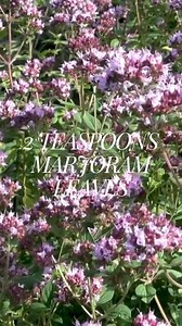 Did you know you can make your own herbal blends instead of buying them? Since #Savory is our #Herbofthemonth, we wanted to share this recipe for Herbs de Provence 2 tablespoons dried thyme leaves 2 teaspoons dried basil leaves 2 teaspoons dried summer savory leaves 2 teaspoons dried marjoram leaves 1 teaspoon dried lavender buds Combine all dried herbs and store in an airtight container away from light and heat. Use in salad dressings, marinades, butter sauces for poultry and fish. Recipe from: