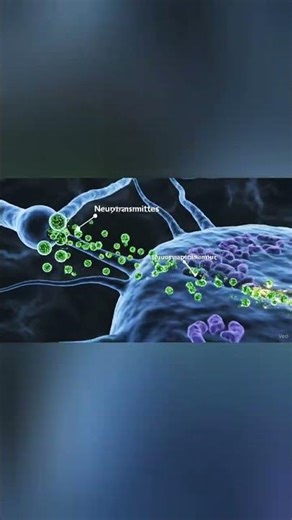 Neuronal transmission #education #animation #anime #kids #ytshorts