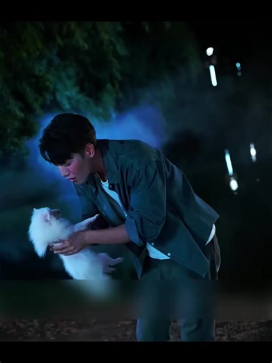 أفلام صينية مترجمة بالعربي للمشاهدة الممتعة