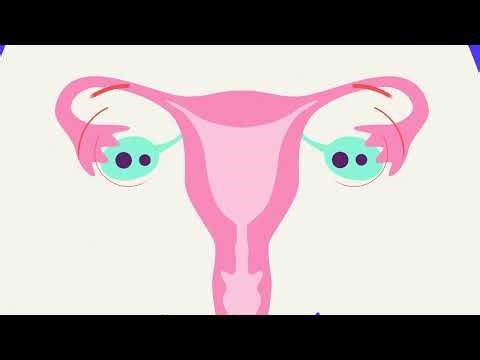 Combined pill or 'the pill': How does it work?