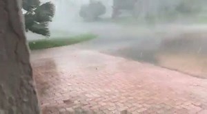 51K views · 542 reactions | This is in Bonita Springs. | Gulf Coast News | Facebook