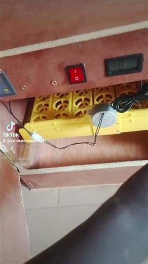 couveuse automatique 56 œuf disponible 763309394