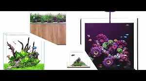 Waterbox Aquariums 🐠 - FREE SHIPPING 🐠 - Turnkey Saltwater Aquariums 🐠 - Stunning Craftmanship 🐠 - 2 Year Warranty | Waterbox Aquariums