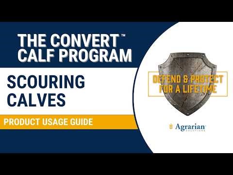 Treating Scouring Calves with the Convert Calf Program