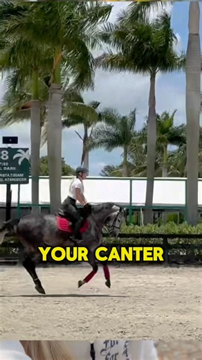 How to Maintain Your Canter (for beginners) #equestriantips #cantering #showjumping #horsegirl
