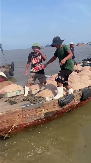“Unloading a Big Catch of Sardines 🐟 | Ocean Village Life