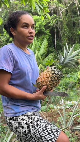 Vida na Roça: Dicas de Agricultura e Plantio