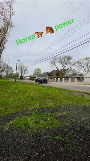 Big black is back #🐎 #Horse power #allseasonsstyle #def deleted #fyp