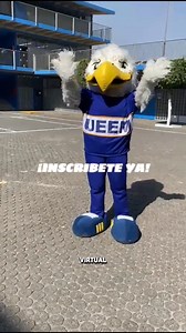 Estudia tu licenciatura en Pedagogía o Educación en línea o presencial con validez oficial Beneficios UEEM: ✅ Cursos y talleres gratuitos ✅ Entrega de tu título en 3 meses ✅ Horarios accesibles ✅ Docentes altamente capacitados Solicita una beca hoy al 2371300252 y 5566867757 📲✨ #Licenciaturas #UniversidadUEEM #SOMOSUEEM #pedagogia #contaduríapública #administracióndeempresas #lenguainglesa #Derecho #educación #Licenciaturas #LicenciaturasOnline #descuentos #Becas | Universidad UEEM Texcoco