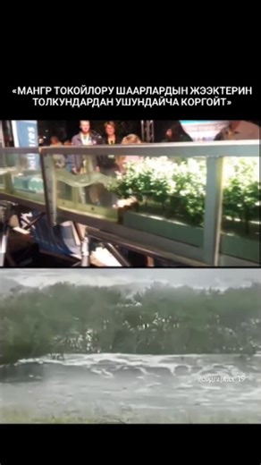 🪐 on Instagram: "«Мангр токойлору шаарлардын жээктерин толкундардан ушундайча коргойт» Мангр токойлору жандуу табигый тосмо катары кызмат кылып, шаарларды толкундардан коргойт. Алардын татаал тамыр системасы суунун ылдамдыгын жайлатат, жээктен алгачкы 100 метр аралыктын ичинде толкун энергиясын 66% га чейин азайтат. Ошондой эле бороон-чапкын маалындагы суу ташкындарын басаңдатып, топуракты бекемдеп, жээктин жуулуп кетишин (эрозияны) алдын алат. Мындан тышкары, шамалдын күчүн да жумшартып, суу к