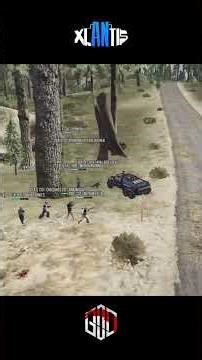 XPD VS CID | CONSIGNMENT HIGHLIGHTS