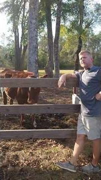 Because Our Lives Weren't Chaotic Enough...... #homestead #countrylife #sendhelp