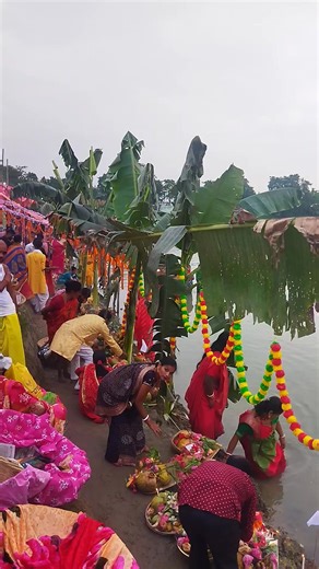 # হিন্দু বিহারী সম্প্রদায়ের মানুষদের সর্বশ্রেষ্ঠ উৎসব ছট পূজা ফালাকাটা | Uttam Pal Kanu