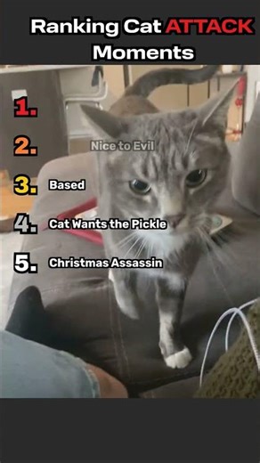 Ranking Cat ATTACK Moments