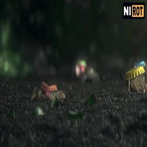 Action horror movie #fypシ #foryou #movieclips #movie #movies 3 | Indian Trainers Academy | Facebook