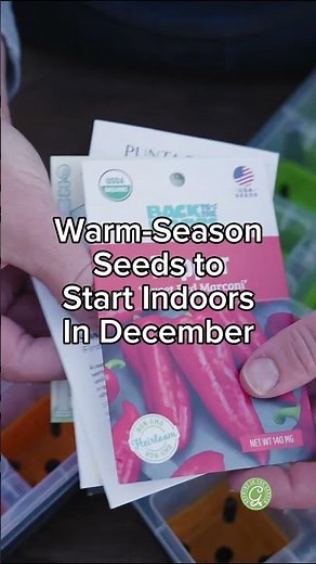 Get ready for SPRING!