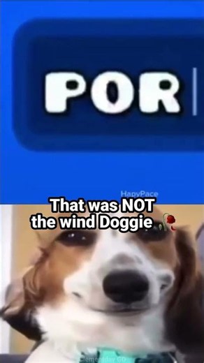Doggie Geometry Dash search incident 🥀