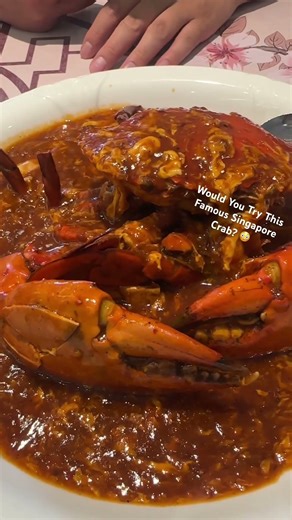 Affordable Chilli Crab Spot in Singapore You Need to Try🦀💸싱가포르에서 저렴한 칠리크랩🦀💸