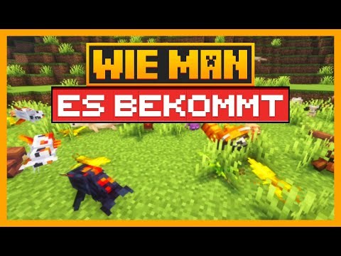 SO BEKOMMT MAN DIE Critters and Companions MOD FÜR MINECRAFT