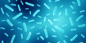 Gut microbial health could be key to health disparities »  Emerging Pathogens Institute » University of Florida