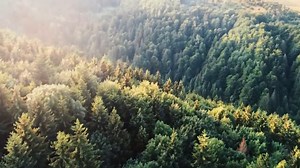 💭 El Poder de la Mente: Quien logra controlar su mente, tiene en sus manos una fuerza capaz de transformar su vida y su entorno. Desde la antigüedad hasta hoy, el misterio de la mente ha sido estudiado, pero pocos comprenden su verdadero potencial. ¿Puede el pensamiento influir en la realidad? ¿Es posible alcanzar todo lo que deseamos con solo imaginarlo? En este viaje, vamos a desentrañar los secretos que se esconden en nuestro interior y cómo el dominio mental puede llevarnos a logros inimagi