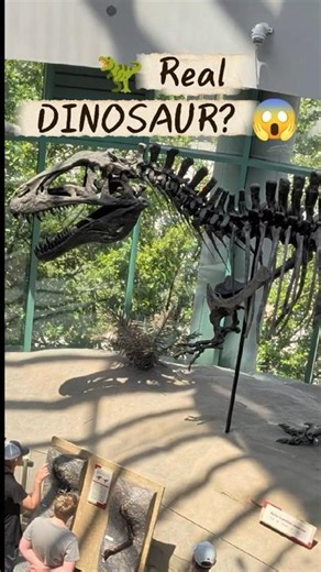 REAL DINOSAUR? 😱 100 Million Years Old! 🦖 | America Museum