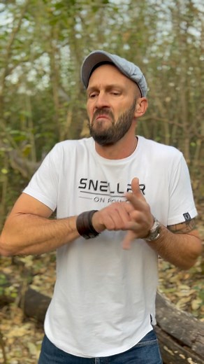 2.8K views · 116 reactions | #boom #tree #poplar #popelier #invasive #funfacts #mushroom #poefmossel #fanks #welcometothebush #matches | Crazy Werrie | Facebook