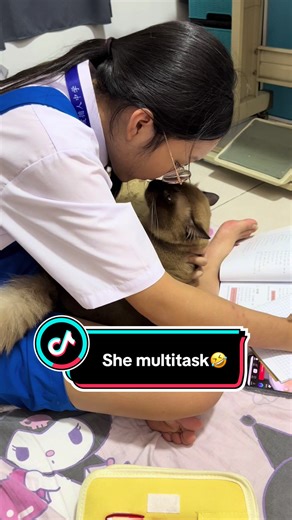 Multitasking Cats: Funny Feline Moments