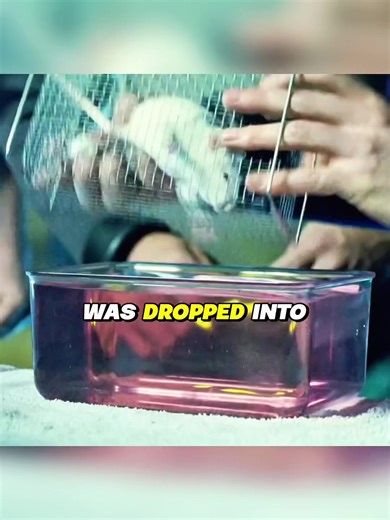 Scientist's Oxygen Liquid Experiment Reveals Alien Encounter