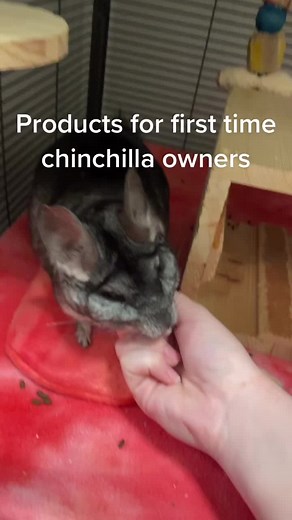 Essential Products for New Chinchilla Owners | Chinchilla Care Guide