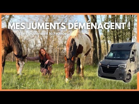 THE MARES ARE MOVING!! NEW LIFE FOR DUNE AND NAK 🐴