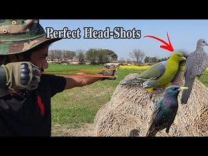 Birds Hunting with Unique Skills❗
